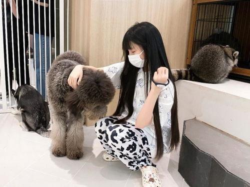 蔡萝莉免费吃瓜,揭秘网红圈幕后故事